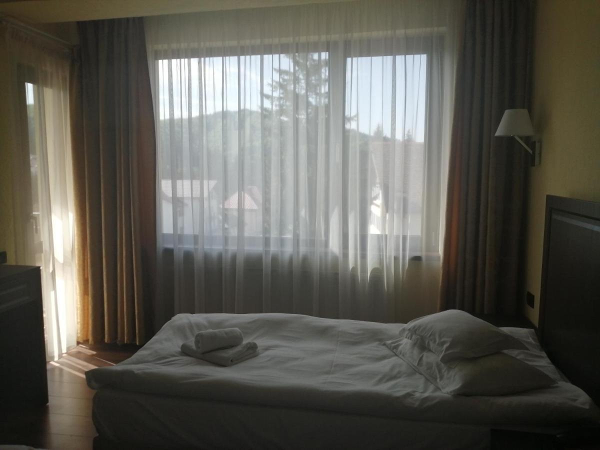 Hotel Piemonte Predeal Bagian luar foto